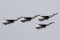 Lockheed Martin F-16CM Fighting Falcon